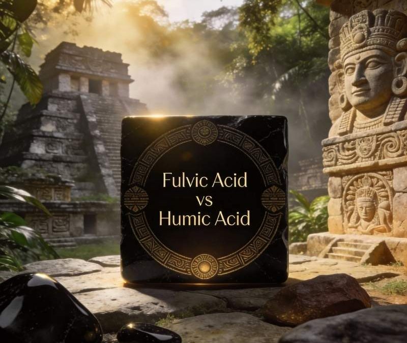 Fulvic Acid vs Humic Acid: What’s the Difference?