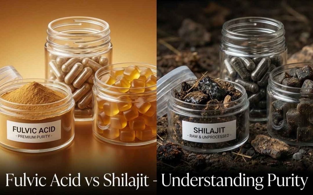 Fulvic Acid vs Shilajit: Understanding Purity, Refinement, and Testing