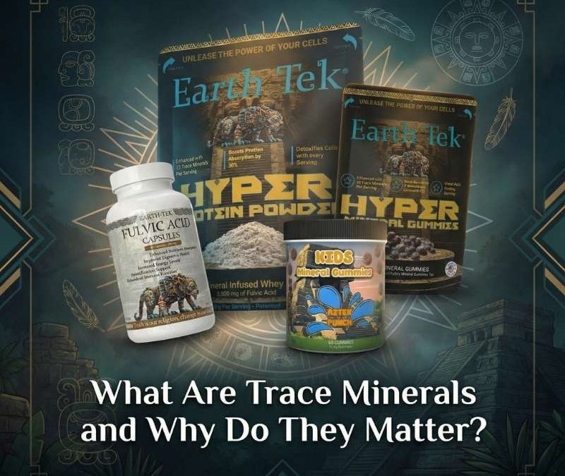 What Are Trace Minerals and Why Do They Matter?