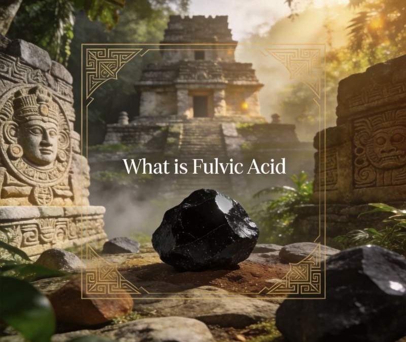 What Is Fulvic Acid? A Clear, Science-Informed Guide